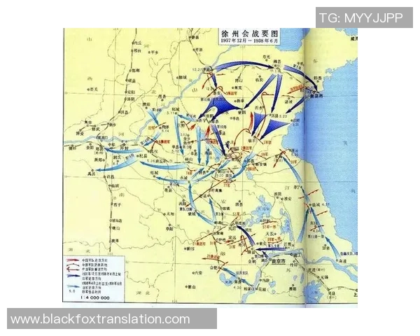 成都排球队阵地战体系解析与战术创新探讨