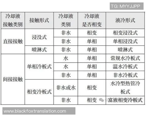 深入解析北京足球队的技术表现与数据分析探讨