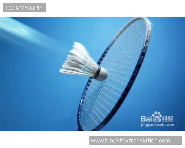 羽毛球评论：西安羽毛球队的整体压制得失